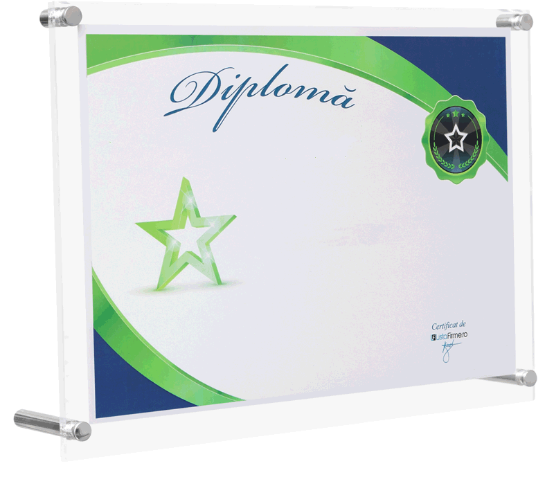 diploma cea mai mare firma din romania, sectorul 1, domeniul 6312: activitati ale portalurilor web