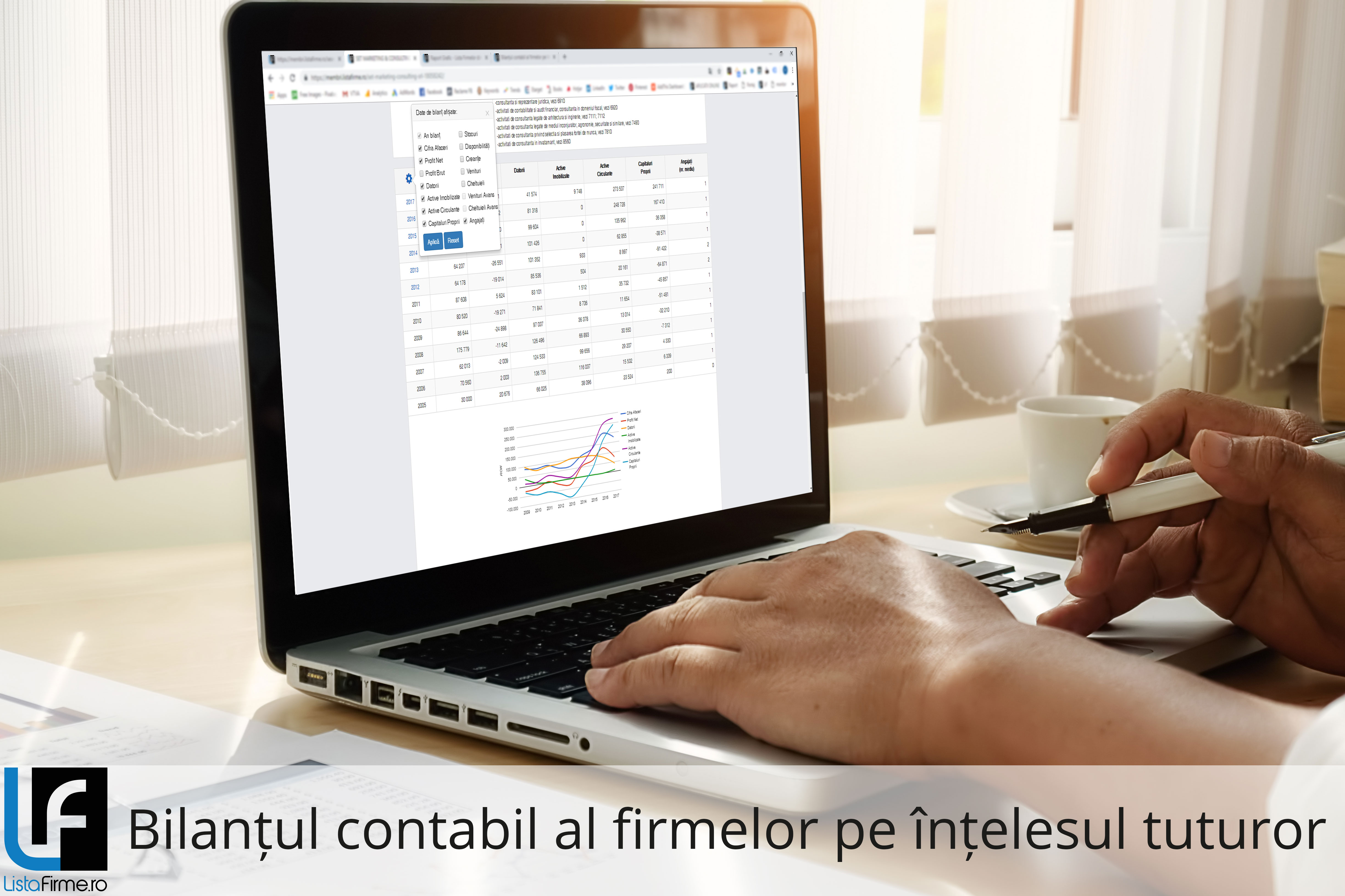 grafic bilanț contabil