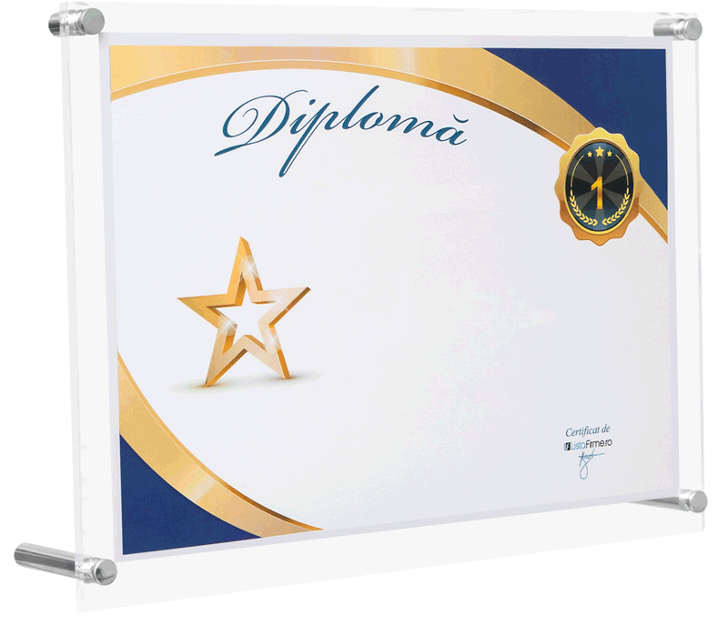 diploma locul 1 in top profit romania intreprinderi cu capital romanesc, sectorul 1, domeniul 4778: comert cu amanuntul al altor bunuri noi, in magazine specializate