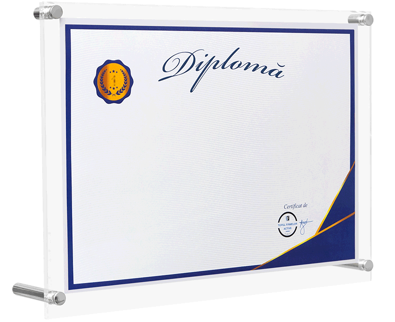 diploma locul 1 in top profit romania intreprinderi cu capital romanesc, sectorul 1, domeniul 4778: comert cu amanuntul al altor bunuri noi, in magazine specializate