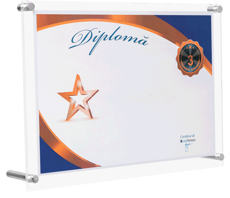 diploma locul 3 in top afaceri romania, judetul bucuresti, domeniul 6312: activitati ale portalurilor web