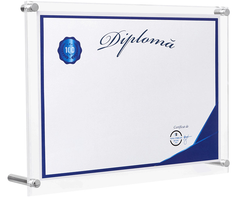 diploma firma in top 100 afaceri romania