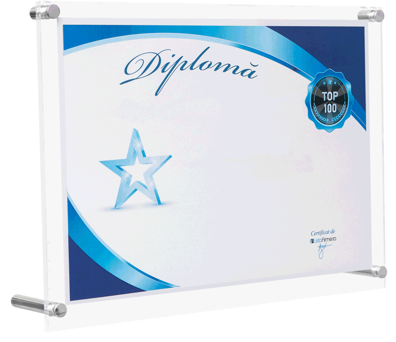 diploma firma in top 100 profit romania intreprinderi mijlocii