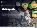 adjectivconsulting