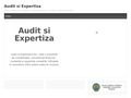 auditsiexpertiza
