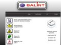 balintservice