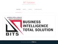 bit-solution