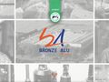 bronze-alu