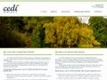 cedi