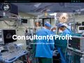 consultanta-profit