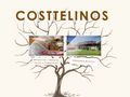 costtelinos