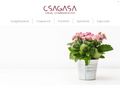 csagasa