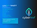cyberleaf