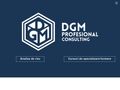 dgmprofesional