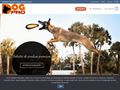 dogpro