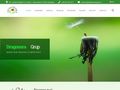 dragonaragrup