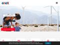 enexenergy