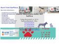 euro-vet