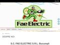 faeelectric