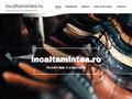 incaltamintea