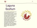 lagunascofium