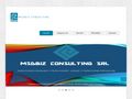 msdbizconsulting