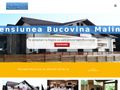 pensiuneabucovinamalini