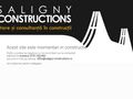 saligny-constructions