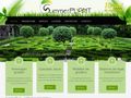 sumarplant