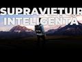 supravietuireinteligenta
