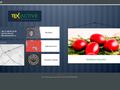 texactive