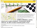 theonefinconsult