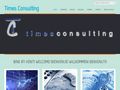 timesconsulting