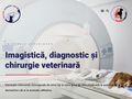 traumasurgeryvet