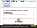tridentservice