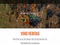 vino-veritas