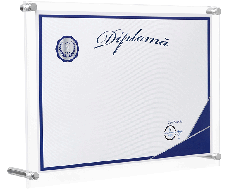 diploma locul 2 in top profit romania, judetul constanta, domeniul 3313: repararea echipamentelor electronice si optice